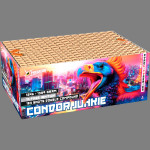 Condor Junkie